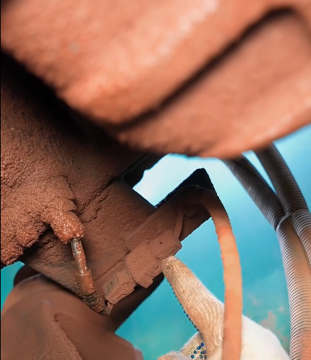 Kobelco Excavator Troubleshooting: Engine Speed Sensor Wiring Fault & Low-Pressure Alarm Fix